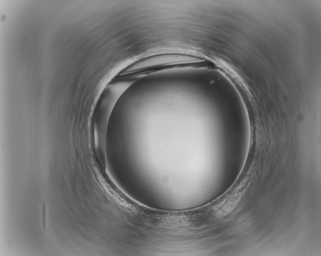 X0000059801238200510211043