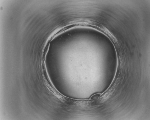 X0000059801240200510211043