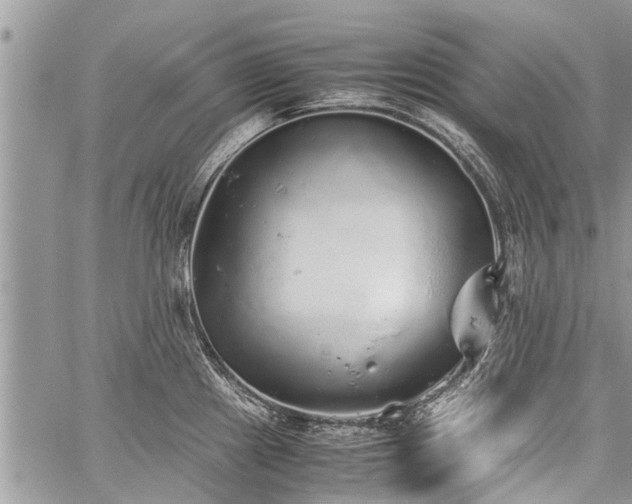 X0000059801241200510211043