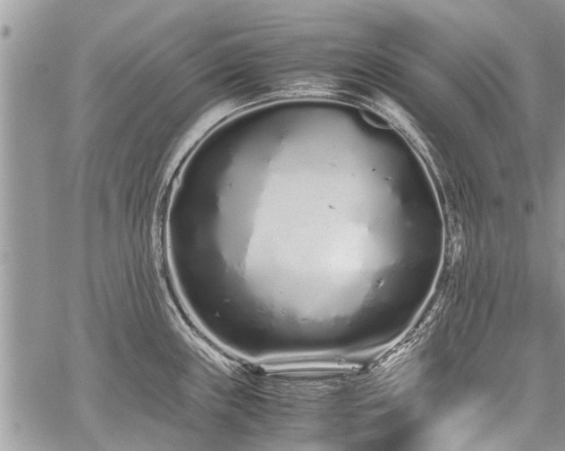 X0000059801243200510211044