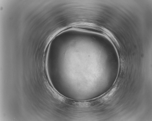 X0000059801244200510211044