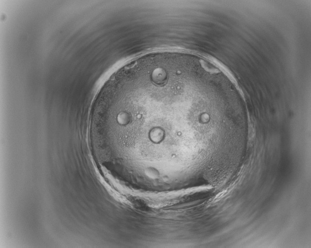 X0000059801245200510211044