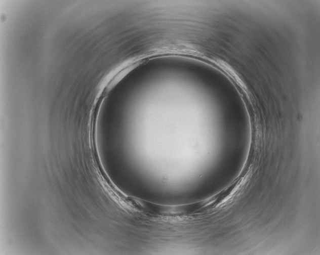 X0000059801246200510211044