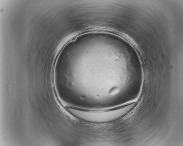 X0000059801247200510211044