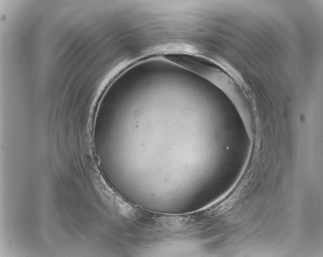 X0000059801248200510211044