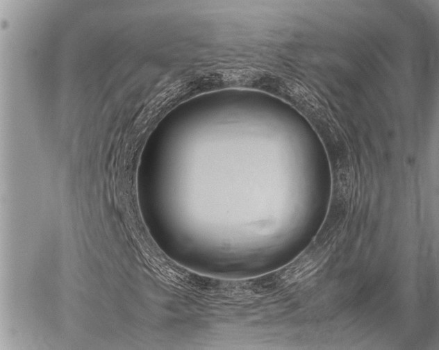 X0000059801249200510211043