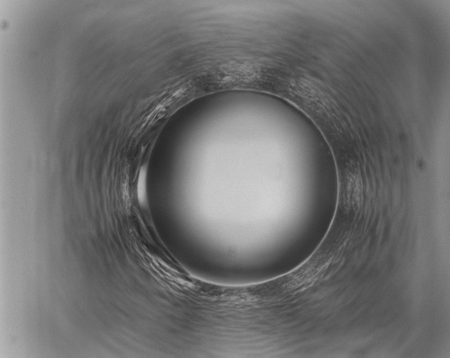 X0000059801250200510211043