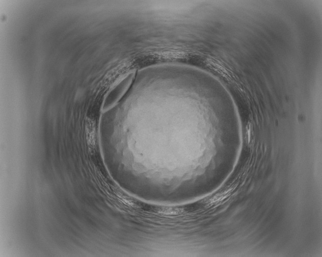 X0000059801251200510211043