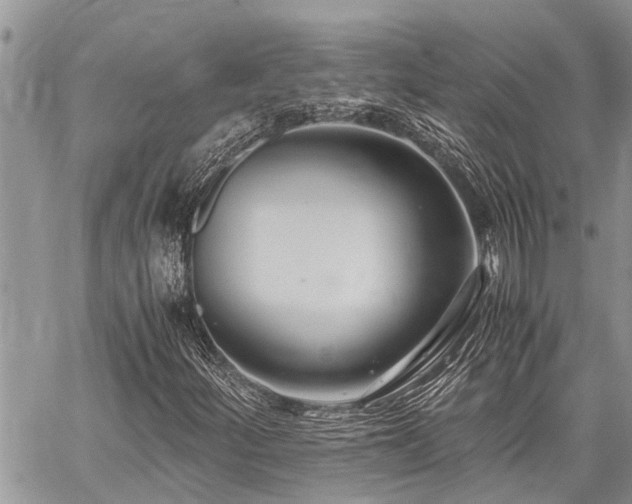 X0000059801252200510211043