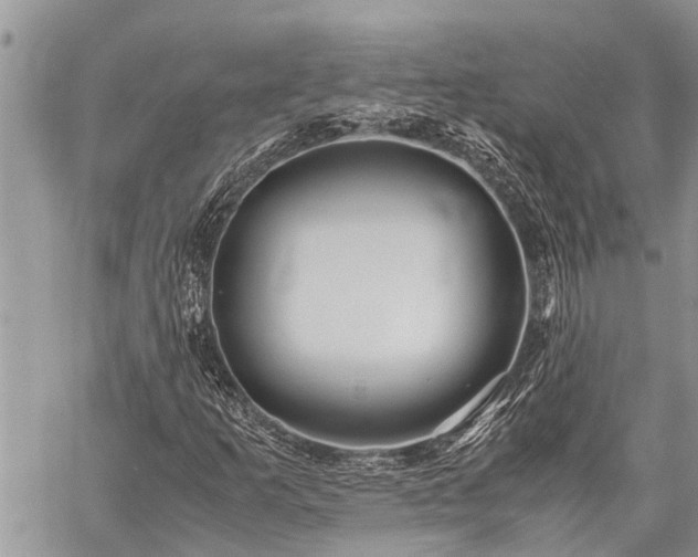 X0000059801253200510211043