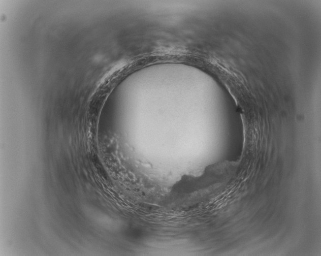 X0000059801254200510211043