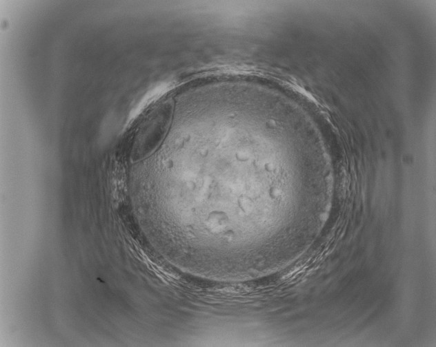 X0000059801255200510211043