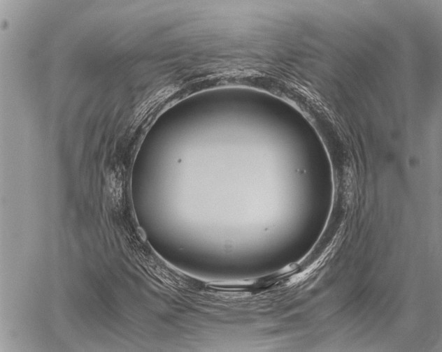 X0000059801257200510211043