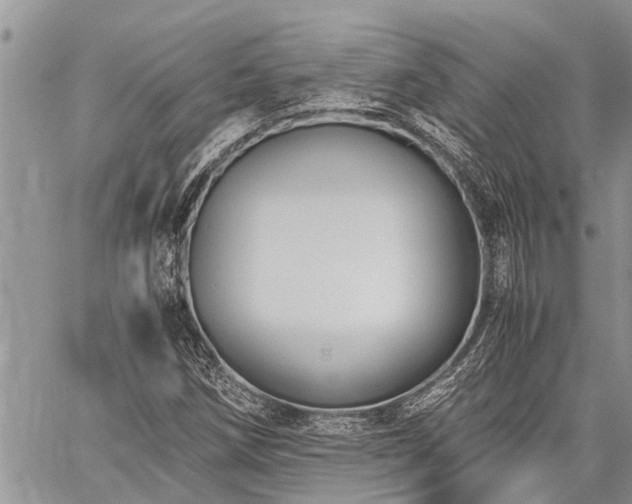 X0000059801258200510211043