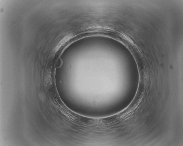 X0000059801259200510211043