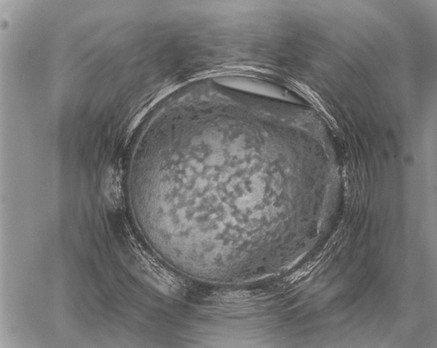 X0000059801260200510211043