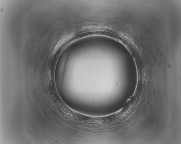 X0000059801261200510211043