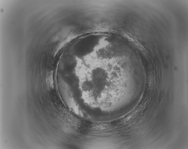 X0000059801262200510211043