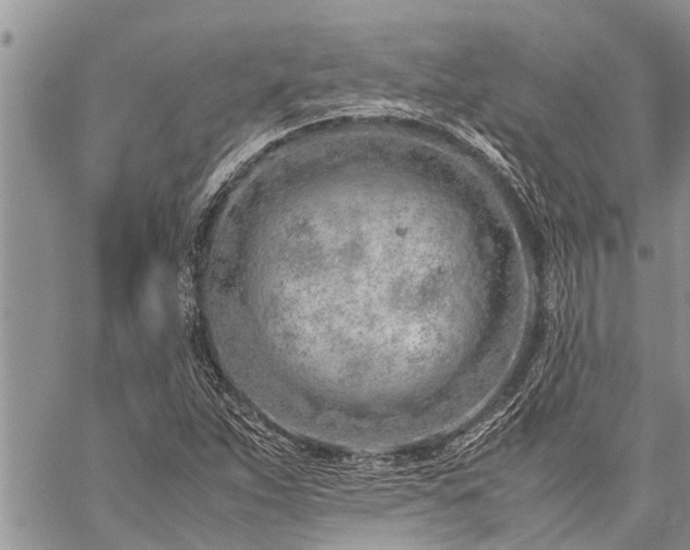 X0000059801263200510211043