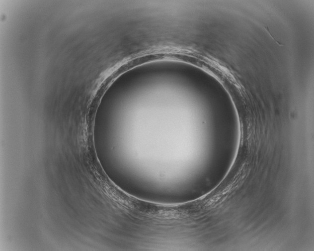 X0000059801264200510211043