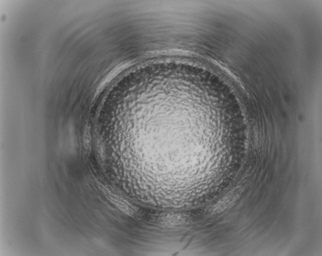 X0000059801266200510211043