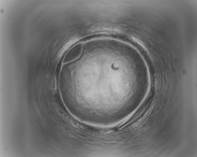 X0000059801267200510211043