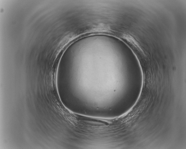 X0000059801268200510211043