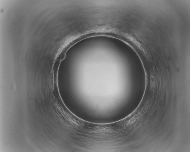 X0000059801270200510211042