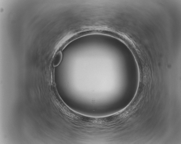 X0000059801271200510211042