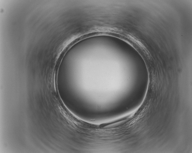 X0000059801272200510211042