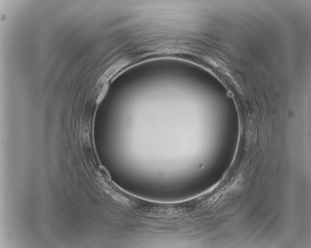 X0000059801273200510211042