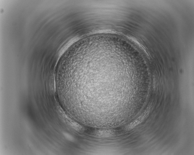 X0000059801274200510211042