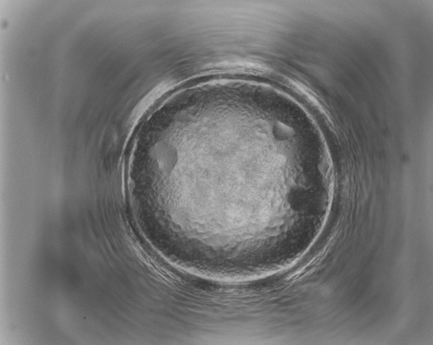 X0000059801275200510211042