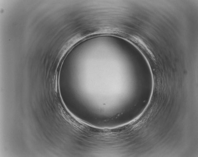 X0000059801276200510211042