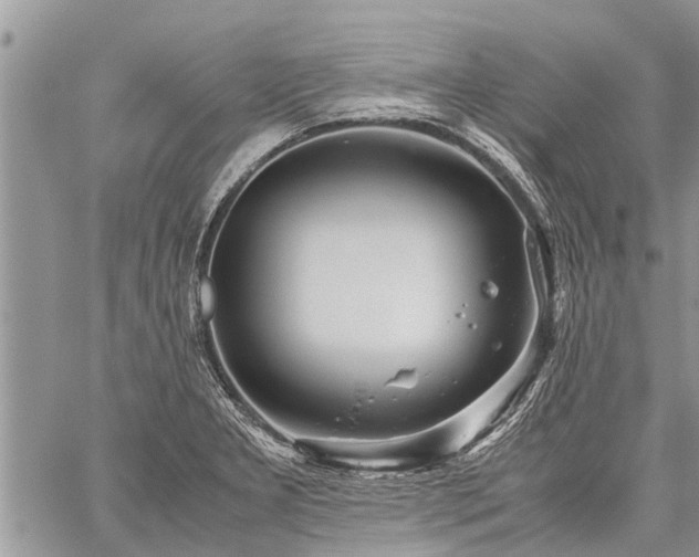 X0000059801277200510211042