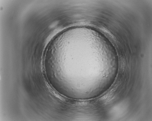 X0000059801278200510211042