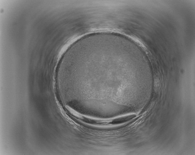 X0000059801279200510211042