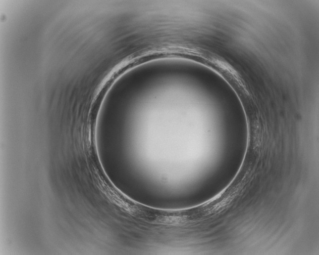 X0000059801280200510211042