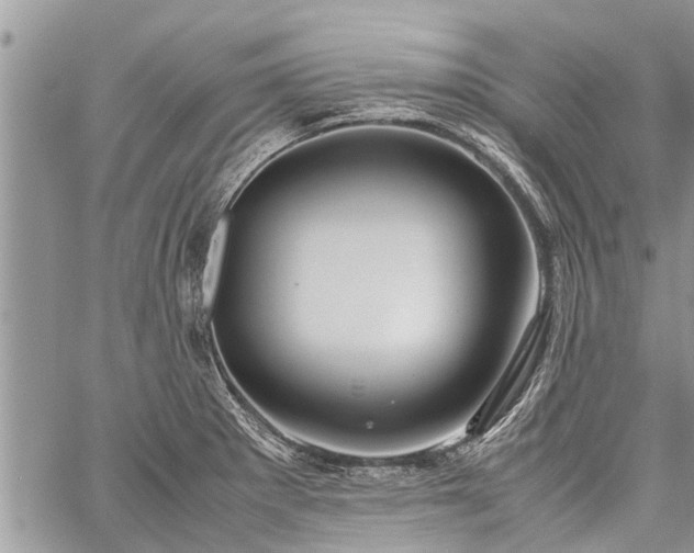 X0000059801281200510211042