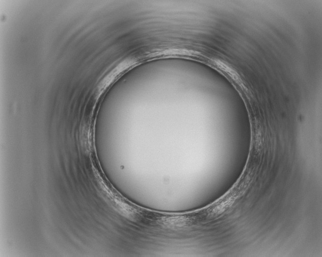 X0000059801282200510211042