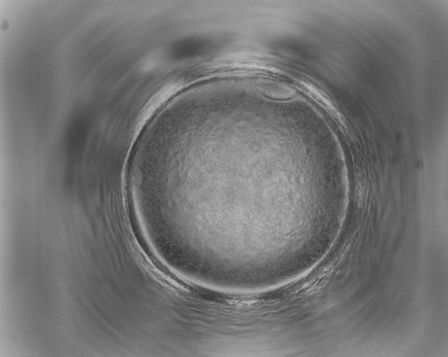 X0000059801283200510211042