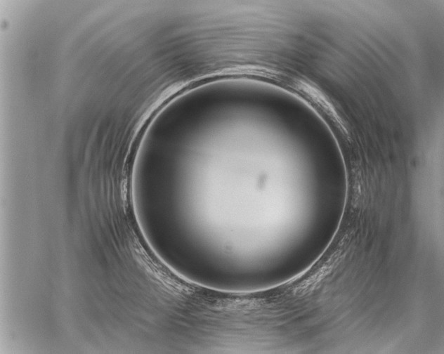 X0000059801284200510211042