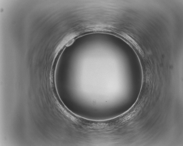 X0000059801285200510211042