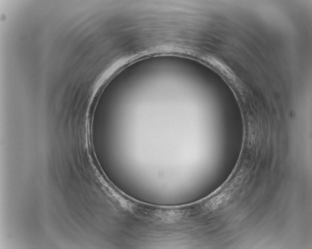 X0000059801286200510211042