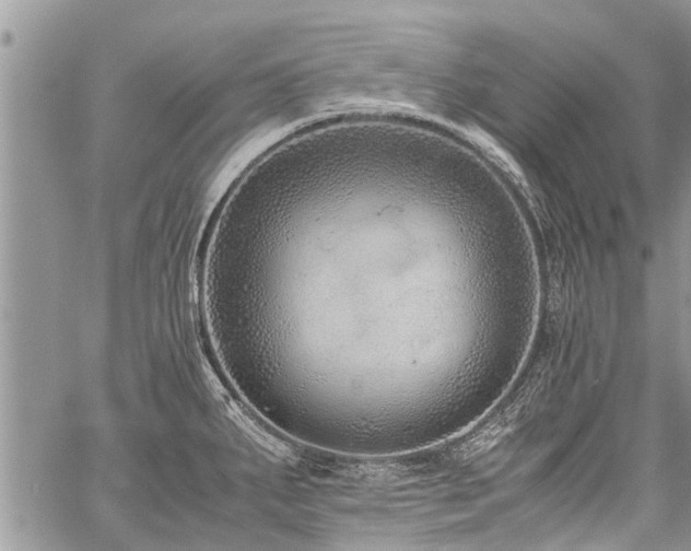 X0000059801287200510211042