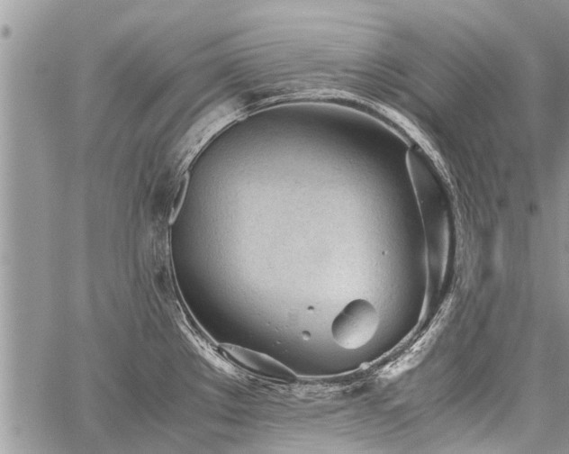 X0000059801289200510211042