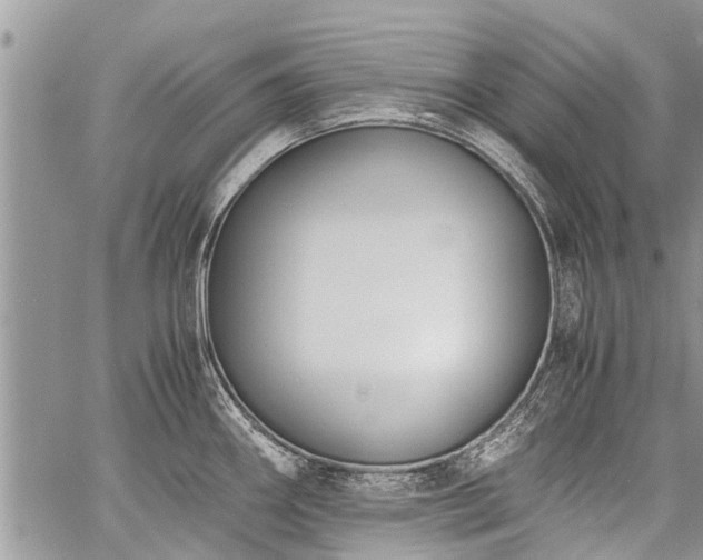 X0000059801290200510211042