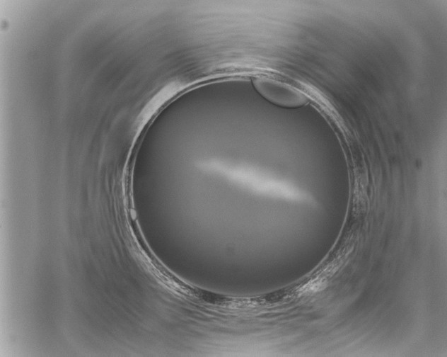 X0000059801291200510211042