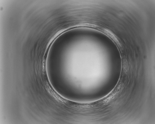 X0000059801292200510211042