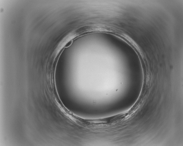 X0000059801293200510211042